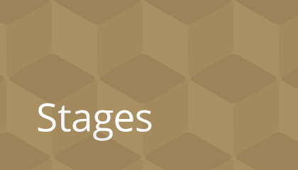 Stage Adultes (en soirée)
